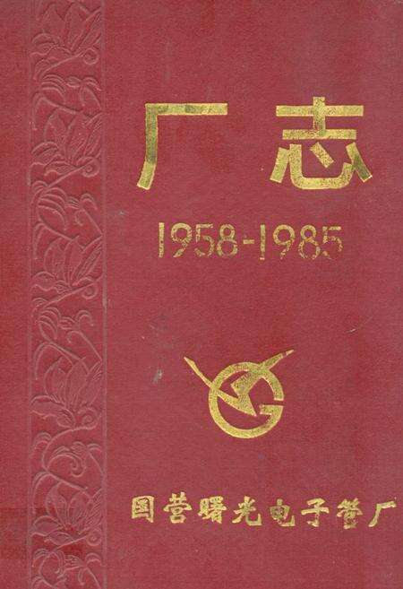 《国营曝光电子管厂志(1958-1985)》.pdf电子版_湖南省志缩略图