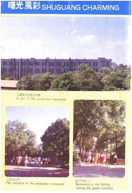 《国营曝光电子管厂志(1958-1985)》.pdf电子版_湖南省志预览图5