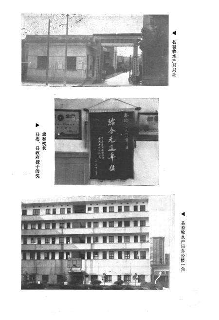 《岳阳县畜牧水产志》.pdf电子版_湖南省志预览图5