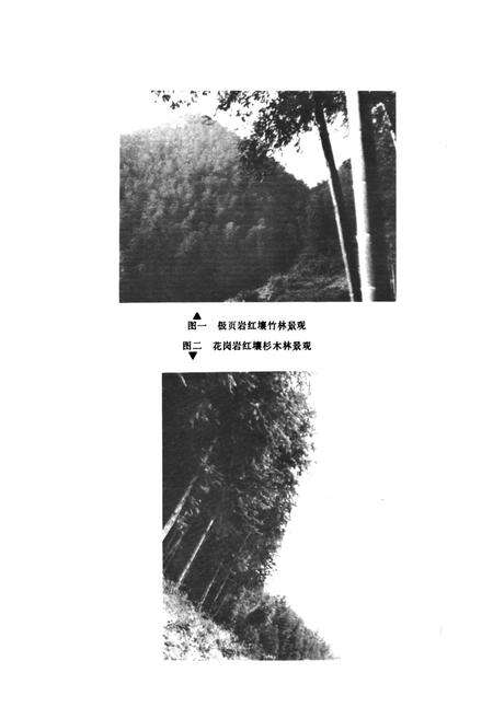 《桃江县土壤志》.pdf电子版_湖南省志预览图3