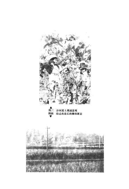 《桃江县土壤志》.pdf电子版_湖南省志预览图4