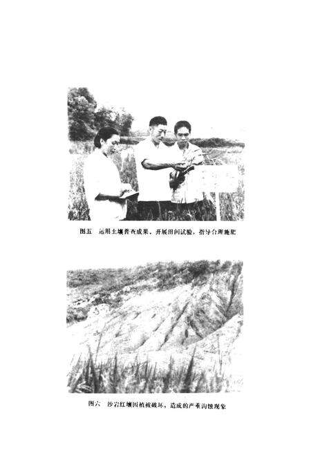 《桃江县土壤志》.pdf电子版_湖南省志预览图5