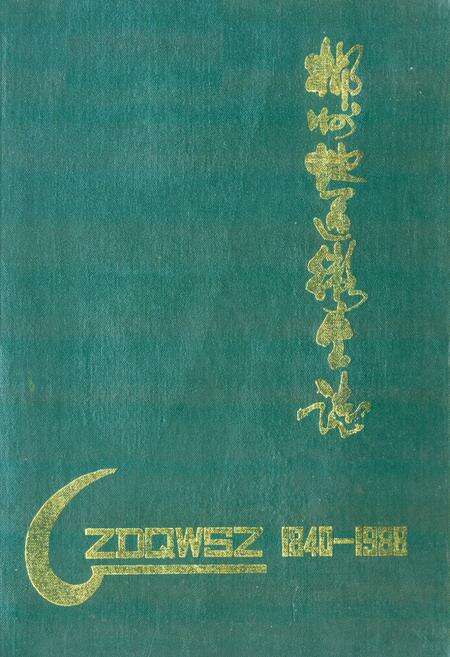 《郴州地区卫生志(1840-1988)》.pdf电子版_湖南省志缩略图