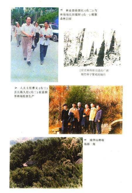 《《凤凰县林业志》》.pdf电子版_湖南省志预览图5