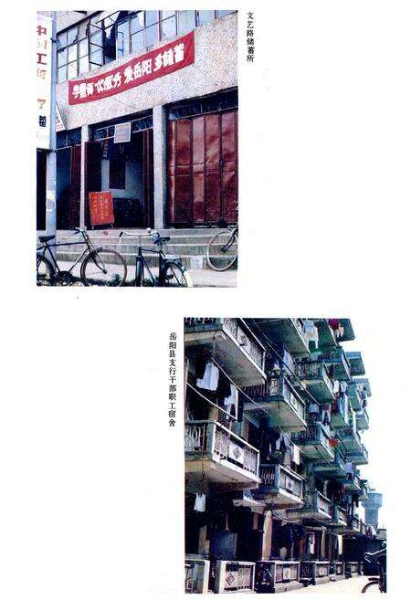 《《工商银行志·建设银行志·保险公司志》》.pdf电子版_湖南省志预览图5