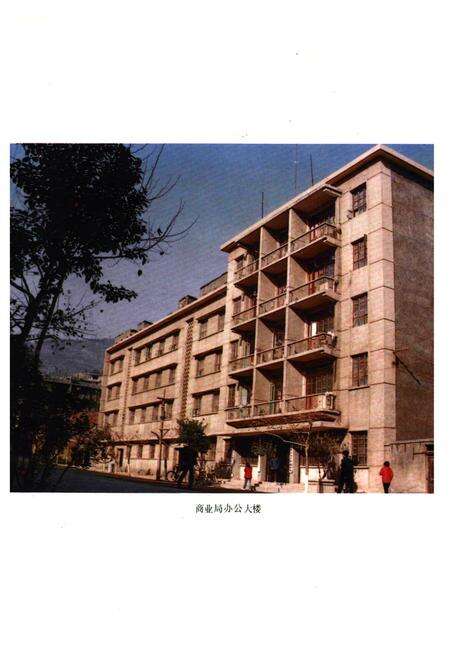 《《长阳商业志》》.pdf电子版_湖南省志预览图4