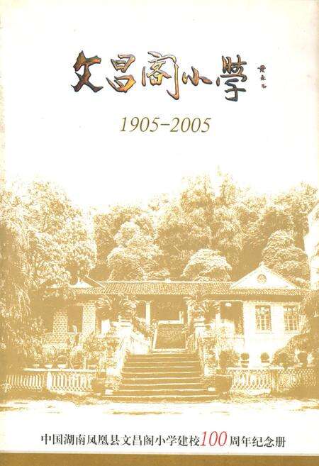 《文昌阁小学(1905-2005)》.pdf电子版_湖南省志缩略图