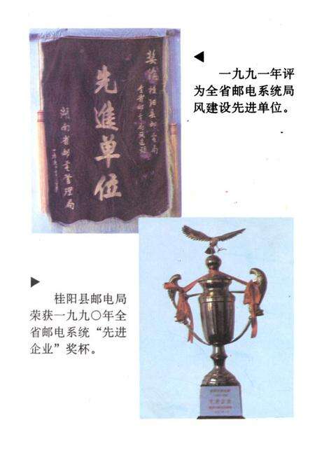 《桂阳邮电志》.pdf电子版_湖南省志预览图3