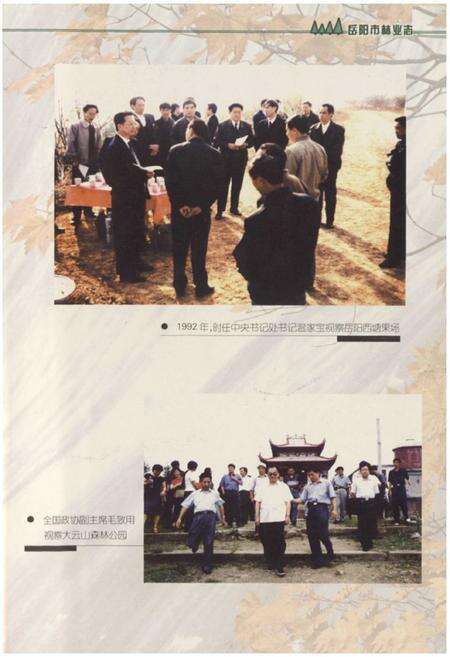 《《岳阳市林业志》》.pdf电子版_湖南省志预览图2