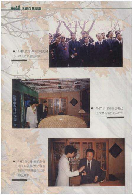 《《岳阳市林业志》》.pdf电子版_湖南省志预览图3