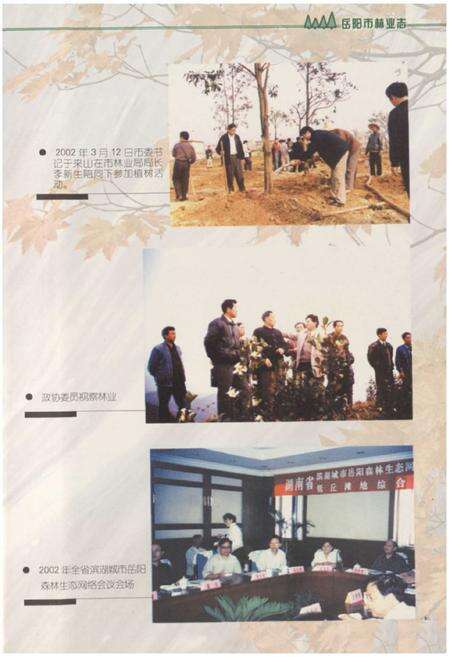 《《岳阳市林业志》》.pdf电子版_湖南省志预览图4