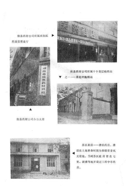《攸县药业志》.pdf电子版_湖南省志预览图5
