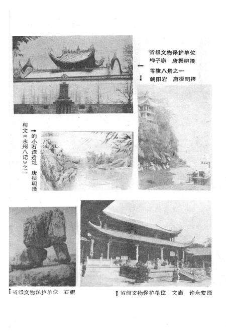 《零陵县文化志》.pdf电子版_湖南省志预览图5