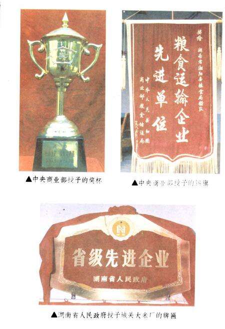 《湘阴县粮食志》.pdf电子版_湖南省志预览图3