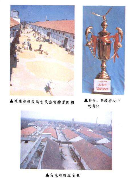 《湘阴县粮食志》.pdf电子版_湖南省志预览图5