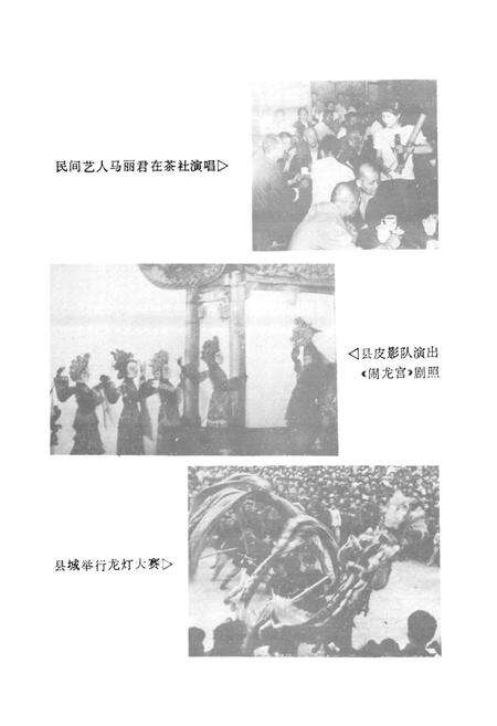 《《澧县文化志》》.pdf电子版_湖南省志预览图5