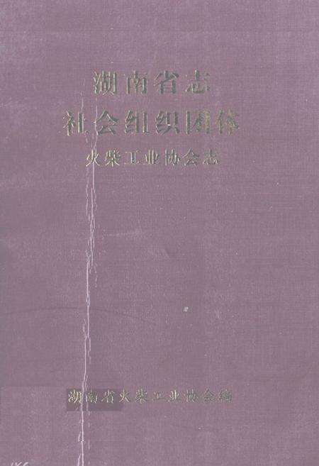 《湖南省志社会组织团体火柴工业协会志》.pdf电子版_湖南省志缩略图