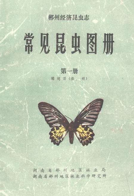 《《常见昆虫图册·第一册鳞翅目(蝶、蛾)》》.pdf电子版_湖南省志缩略图