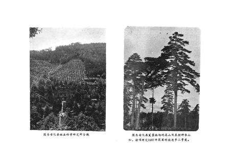 《《安化县科学技术志(1840-1988)》》.pdf电子版_湖南省志预览图4