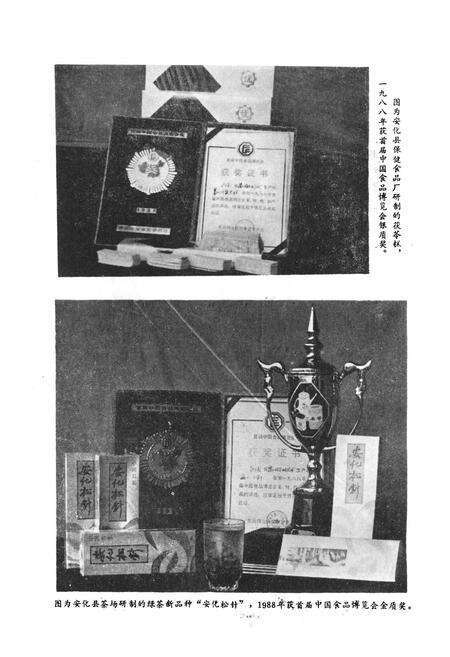 《《安化县科学技术志(1840-1988)》》.pdf电子版_湖南省志预览图5