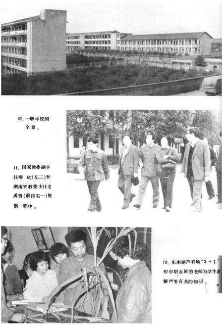 《《沅江县教育志(1903-1985)》》.pdf电子版_湖南省志预览图5