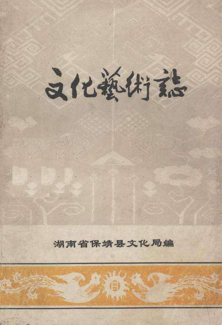 《《文化艺术志》》.pdf电子版_湖南省志缩略图
