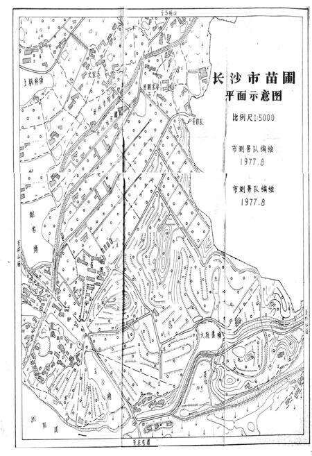 《《长沙市苗圃志(1959-1987)》》.pdf电子版_湖南省志预览图3