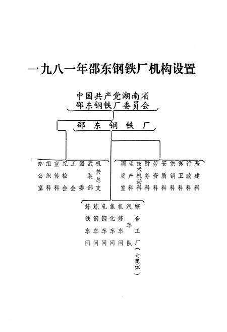 《《湖南省邵东钢铁厂志 第一卷(1956-1981)》》.pdf电子版_湖南省志预览图2