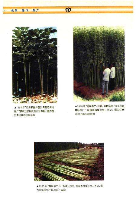 《中国农业科学院麻类研究所志(1959-1997)》.pdf电子版_湖南省志预览图5