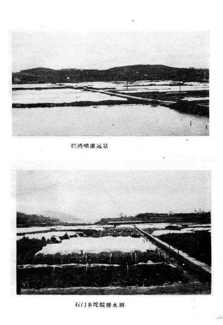 《《怀化市蔬菜志》》.pdf电子版_湖南省志预览图5