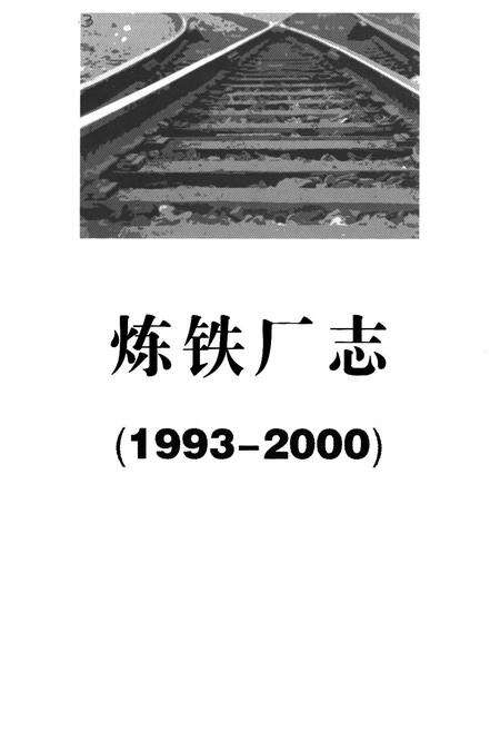 《炼铁厂志(1993-2000)》.pdf电子版_湖南省志预览图1