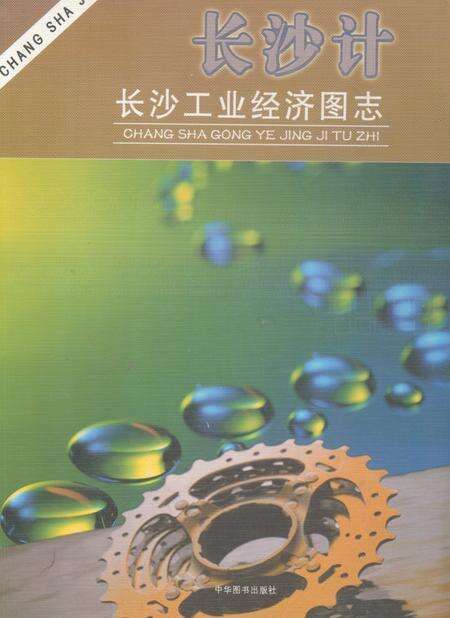 《长沙计·长沙工业经济图志》.pdf电子版_湖南省志缩略图