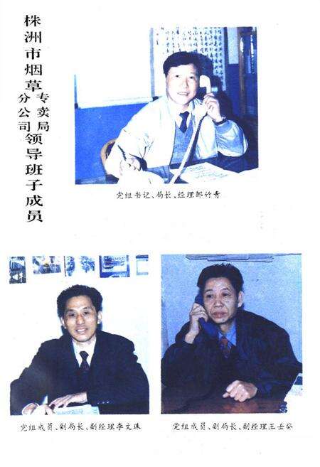 《株洲市烟草志》.pdf电子版_湖南省志预览图4