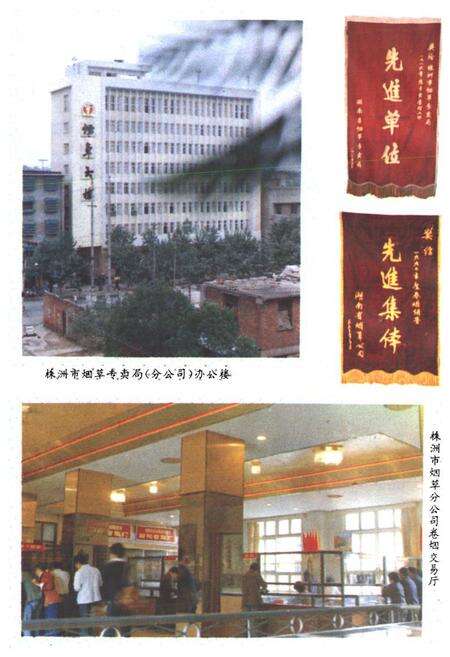 《株洲市烟草志》.pdf电子版_湖南省志预览图5