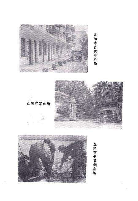 《益阳市畜牧水产志》.pdf电子版_湖南省志预览图3