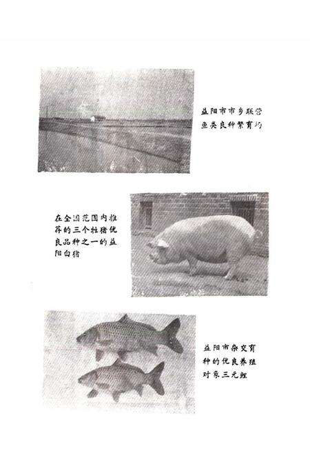 《益阳市畜牧水产志》.pdf电子版_湖南省志预览图4