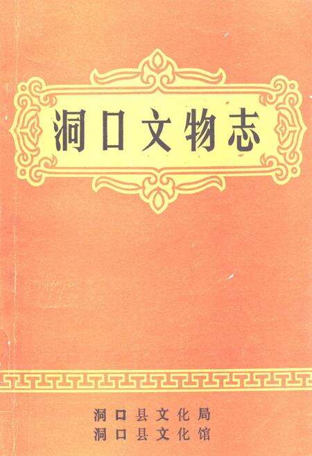 《《洞口文物志》》.pdf电子版_湖南省志缩略图