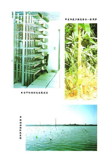 《《衡阳市郊区续志》》.pdf电子版_湖南省志预览图5