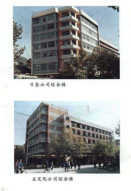 《《祁东县建设志》》.pdf电子版_湖南省志预览图4
