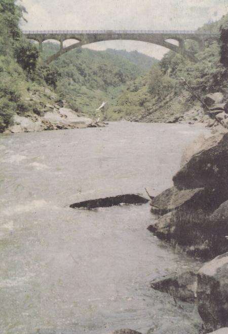 《《党坪苗族乡志》》.pdf电子版_湖南省志预览图5