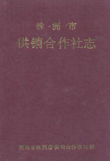《《株洲市供销合作社志》》.pdf电子版_湖南省志缩略图