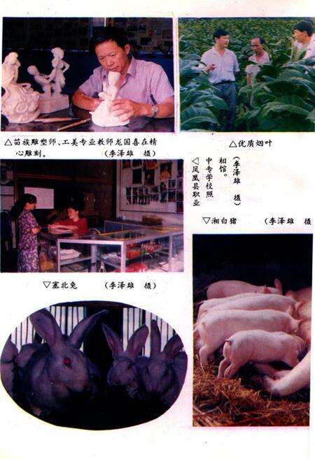 《凤凰县职业中专学校十年志(1984-1994)》.pdf电子版_湖南省志预览图3