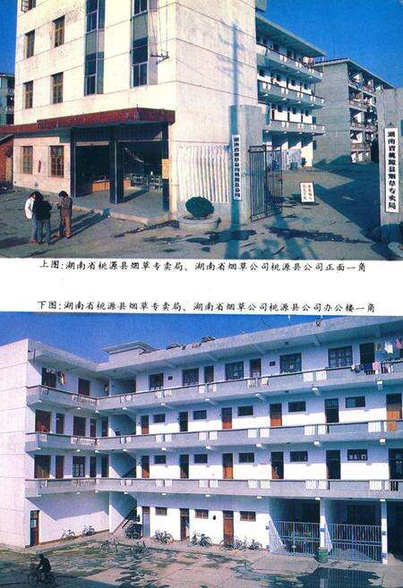 《桃源县志·第十八卷·烟草志》.pdf电子版_湖南省志预览图5