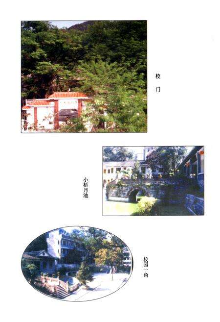 《凤凰县文昌阁小学校志(1905-2000)》.pdf电子版_湖南省志预览图5