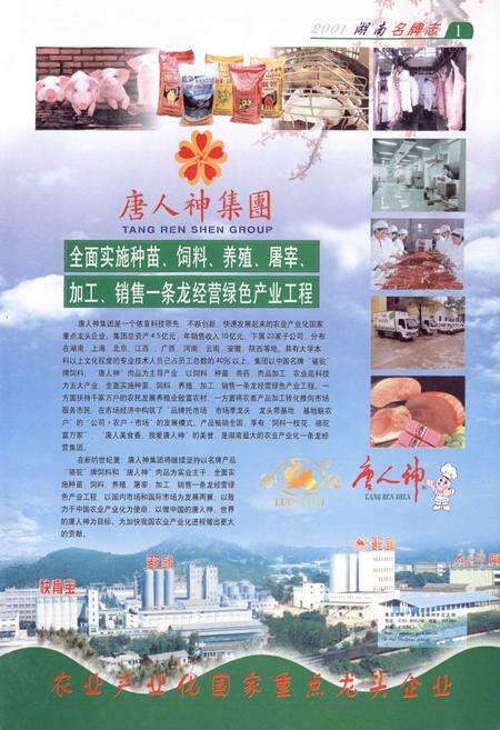 《湖南名牌志》.pdf电子版_湖南省志预览图4