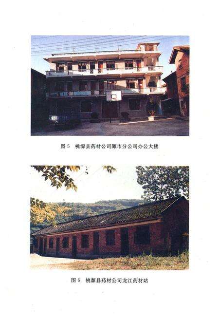 《桃源县志·第十四卷·药业志》.pdf电子版_湖南省志预览图4