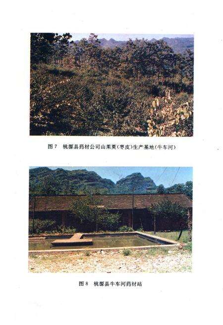 《桃源县志·第十四卷·药业志》.pdf电子版_湖南省志预览图5