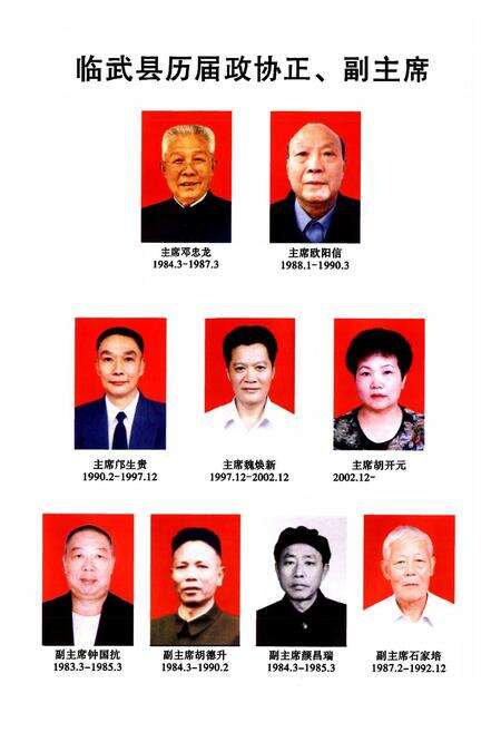 《临武县政协志(1983-2007)》.pdf电子版_湖南省志预览图5