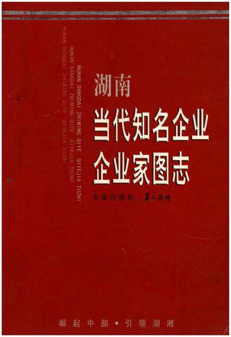 《湖南 当代知名企业·企业家图志》.pdf电子版_湖南省志缩略图
