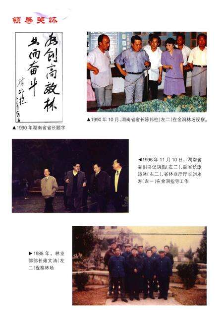 《永州市金洞管理区志》.pdf电子版_湖南省志缩略图